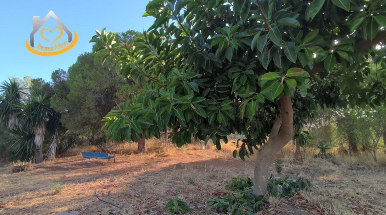 Huelva - Ayamonte - 16000m2
