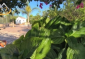 Земельный участок на продажу в городе Ayamonte. Фото