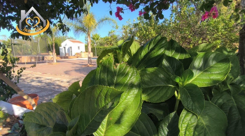 Huelva - Ayamonte - 16000m2