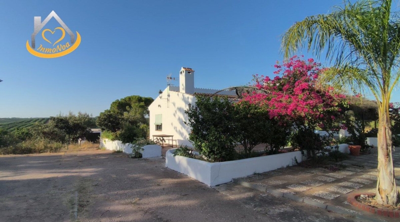 Huelva - Ayamonte - 16000m2