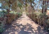 Xalet independent amb terreny en venda a Villafranca de los Barros ref.: TR186511 foto