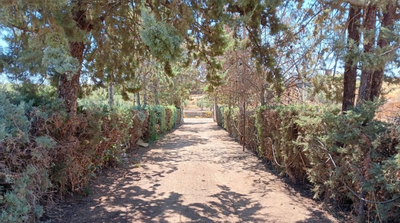 Badajoz - Villafranca de los Barros - 4300m2