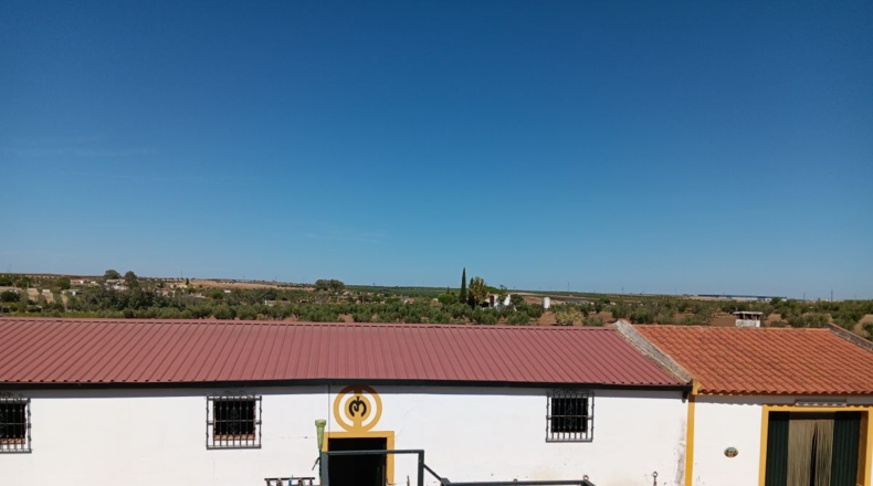 Badajoz - Villafranca de los Barros - 4300m2
