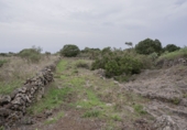 Finca rústica en venda a Valverde ref.: TR191455 foto