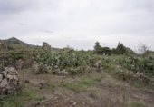 Finca rústica en venda a Valverde ref.: TR191455 foto