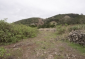 Finca rústica en venda a Valverde ref.: TR191455 foto