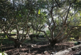 Foto 15