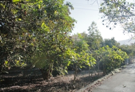 Foto 17