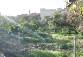 Отдельно стоящий дом с участком на продажу в городе Los Realejos. Фото