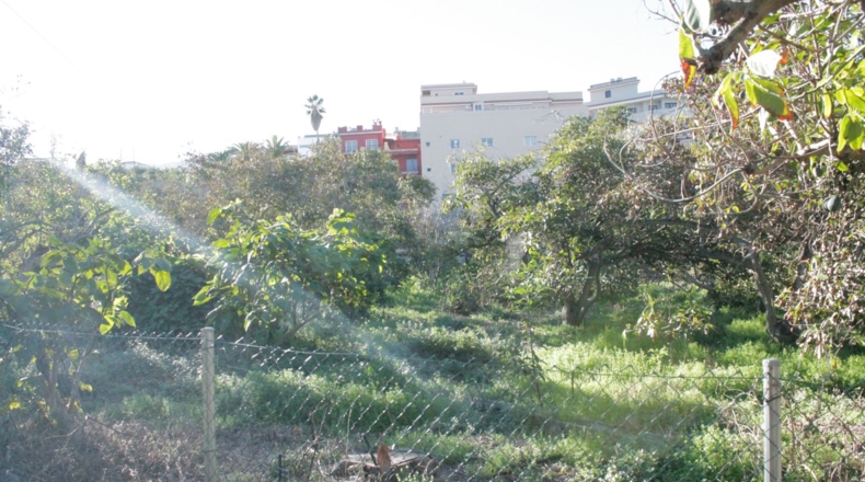 Santa Cruz de Tenerife - La Zamora - 6639m2