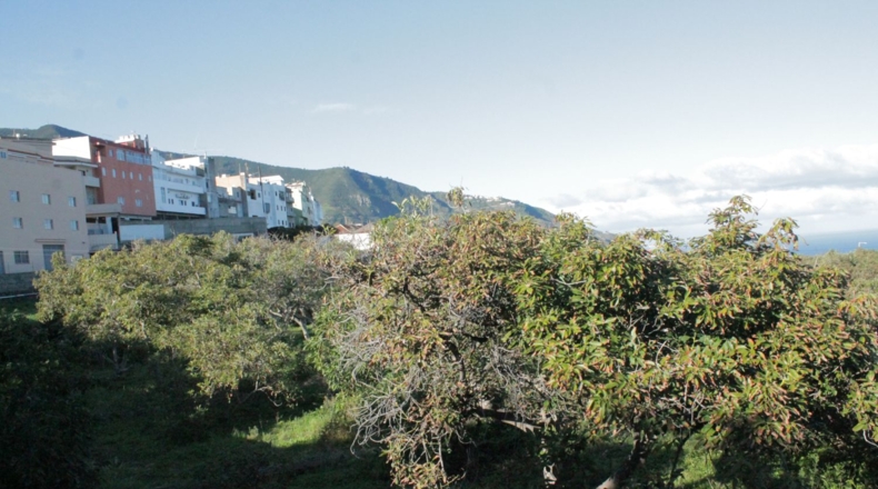 Santa Cruz de Tenerife - La Zamora - 6639m2