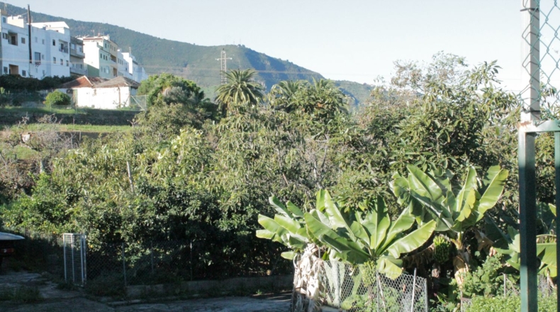 Santa Cruz de Tenerife - La Zamora - 6639m2