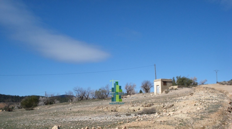 Valencia - Aldaia - 3756m2
