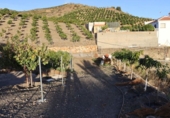 Chalet independiente con terreno en venta en Benajarafe ref: TR202491 foto