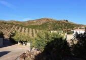 Chalet independiente con terreno en venta en Benajarafe ref: TR202491 foto