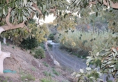 Chalet independiente con terreno en venta en Benajarafe ref: TR202491 foto