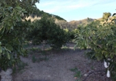Chalet independiente con terreno en venta en Benajarafe ref: TR202491 foto