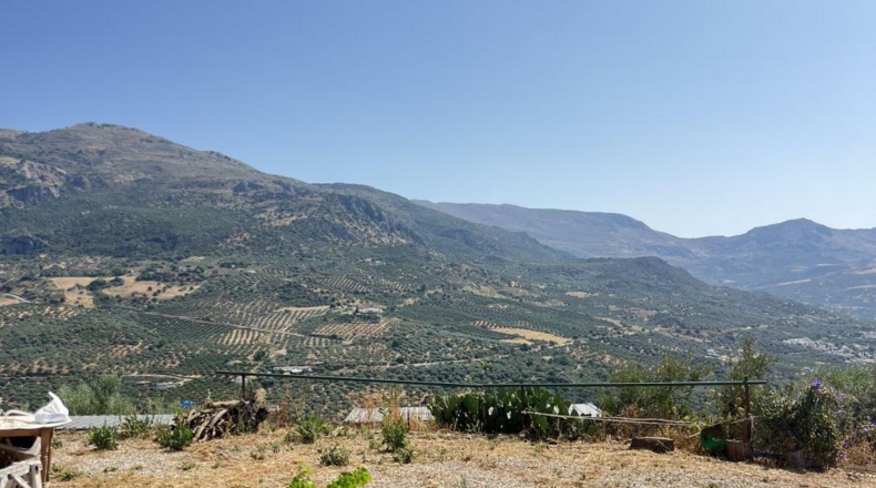 Malaga - Riogordo - 13000m2