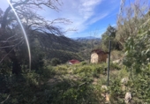 Finca rústica en venda a Casabermeja ref.: TR319445 foto