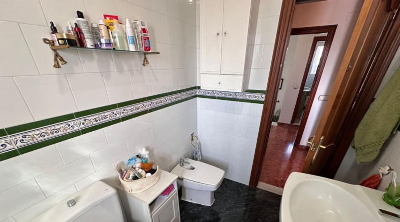 Malaga - Málaga - 800m2