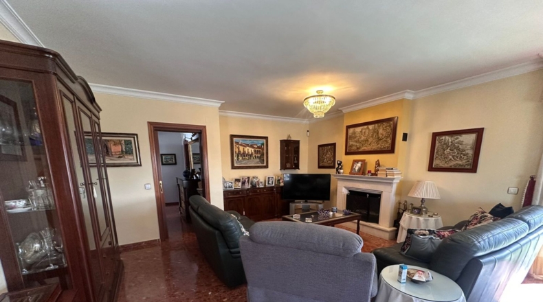 Malaga - Málaga - 800m2
