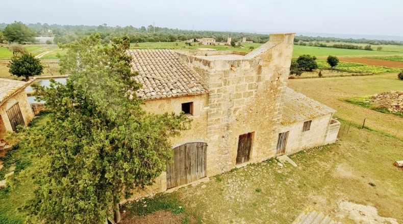 Balearic Islands - Palma - 142435m2