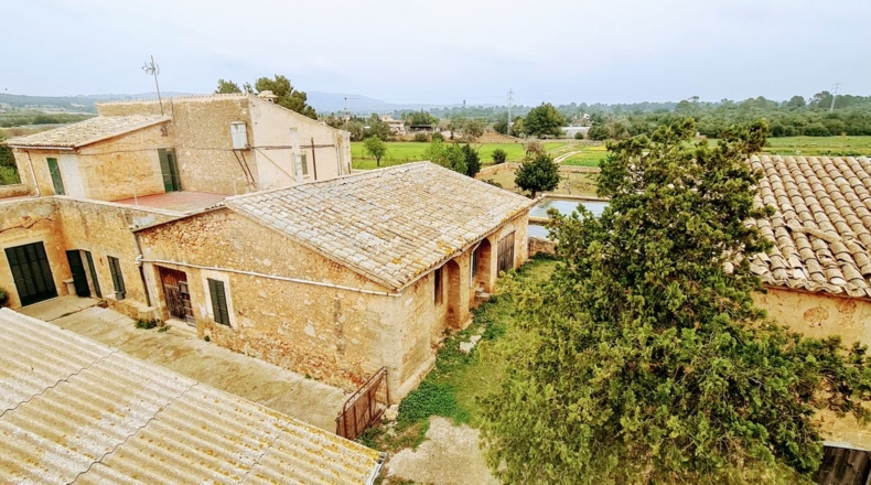 Balearic Islands - Palma - 142435m2