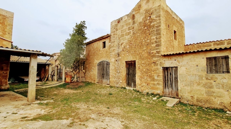 Balearic Islands - Palma - 142435m2