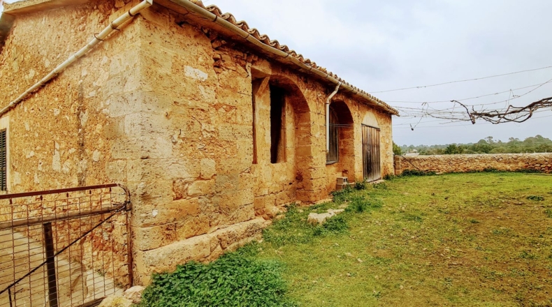 Balearic Islands - Palma - 142435m2