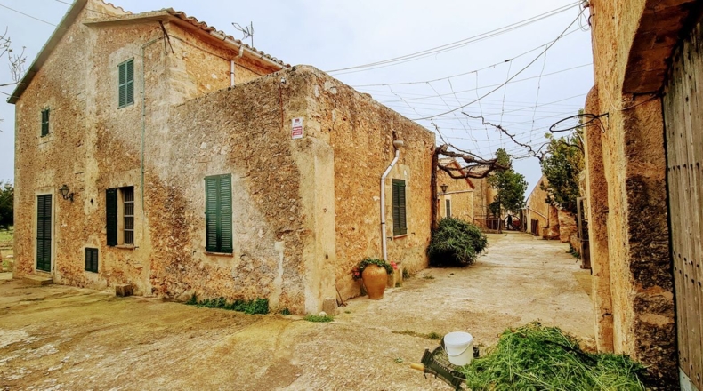 Balearic Islands - Palma - 142435m2