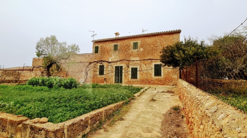 Balearic Islands - Palma - 142435m2