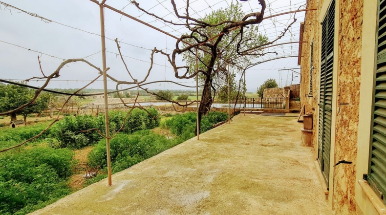 Balearic Islands - Palma - 142435m2
