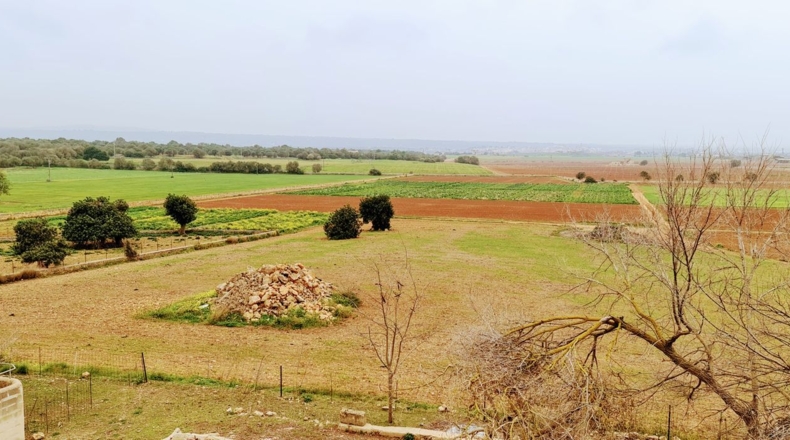 Balearic Islands - Palma - 142435m2
