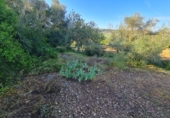 Land suitable for development for sale in Montuïri ref: TR110881 photo