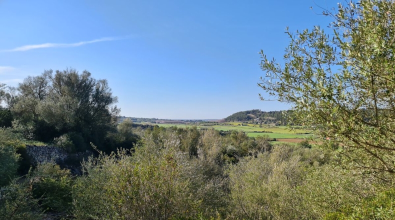 Islas Baleares - Montuïri - 26940m2