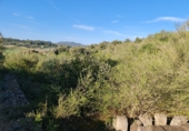 Land suitable for development for sale in Montuïri ref: TR110881 photo
