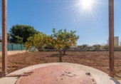 Finca rústica en venta en Palma ref: TR184144 foto