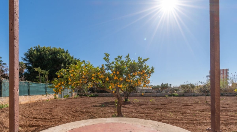 Islas Baleares - Palma - 4320m2