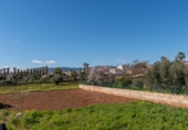 Finca rústica en venta en Palma ref: TR184144 foto