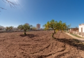 Finca rústica en venta en Palma ref: TR184144 foto