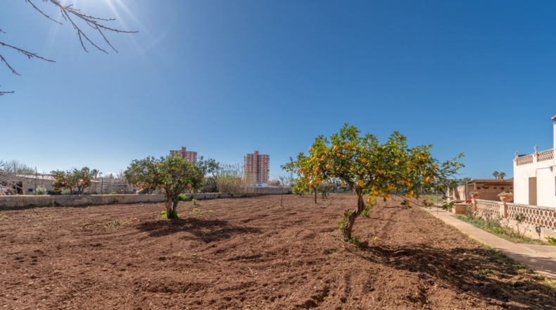 Islas Baleares - Palma - 4320m2