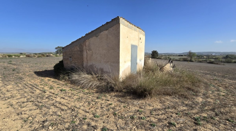 Balearic Islands - Algaida - 15076m2