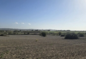 Parcel·la urbanitzable en venda a Algaida ref.: TR184943 foto