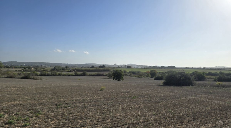 Balearic Islands - Algaida - 15076m2