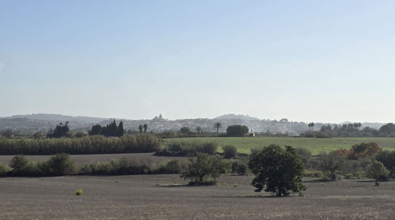 Balearic Islands - Algaida - 15076m2