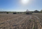Parcel·la urbanitzable en venda a Algaida ref.: TR184943 foto