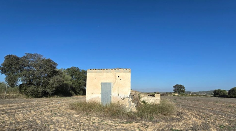 Balearic Islands - Algaida - 15076m2