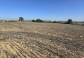 Parcel·la urbanitzable en venda a Algaida ref.: TR184943 foto