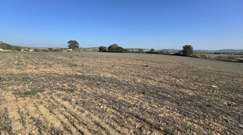 Balearic Islands - Algaida - 15076m2