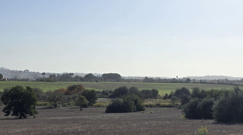Balearic Islands - Algaida - 15076m2